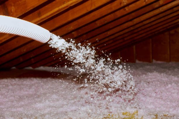 Best DIY Insulation Kits and Guidance in Vinco, PA